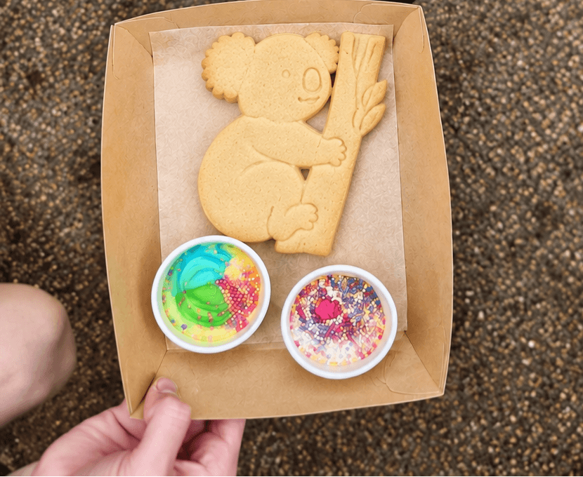 Koala Week Cookie Decorating